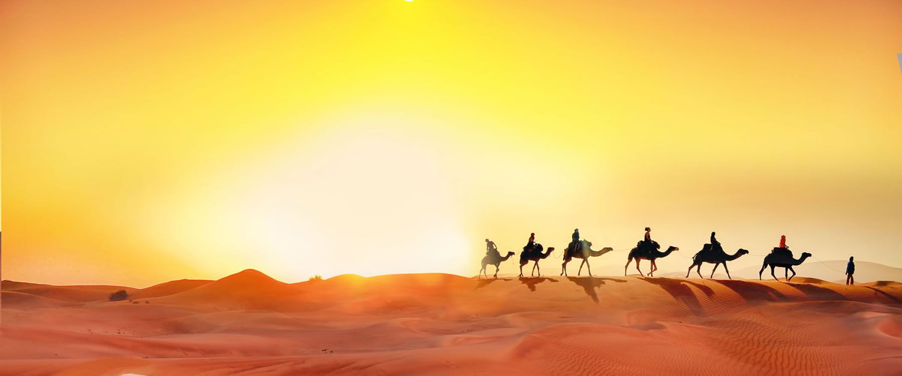 Early Morning Sunrise Desert Safari - Image 8